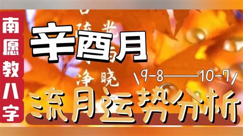 2023十二生肖幸運色|2023十二生肖整體運勢（上篇）｜2023兔年幸運色+十 